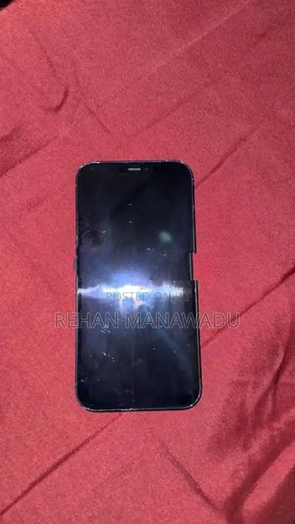 Apple iPhone 12 (Used)