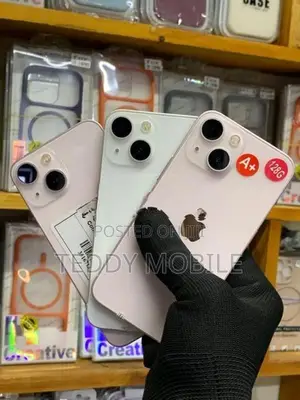 Apple iPhone 13 mini (Used)