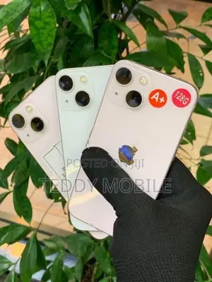 Apple iPhone 13 mini (Used)