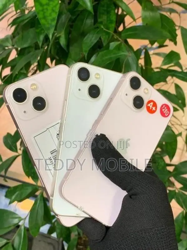 Apple iPhone 13 mini (Used)