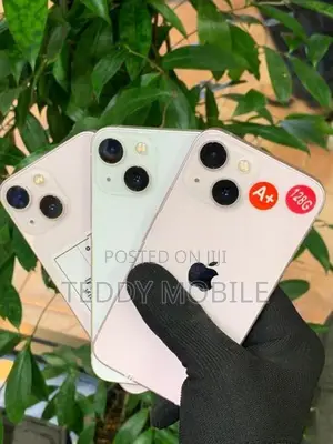 Apple iPhone 13 mini (Used)