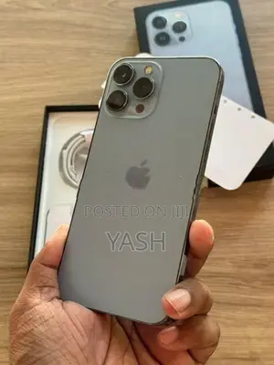 Apple iPhone 13 Pro Max 256Gb (Used)
