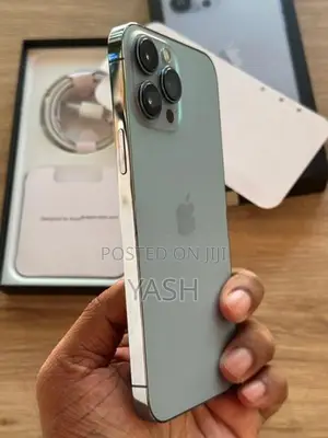 Apple iPhone 13 Pro Max 256Gb (Used)