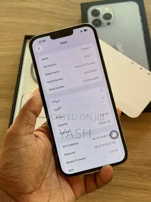 Apple iPhone 13 Pro Max 256Gb (Used)