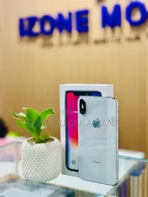 Apple iPhone X 256GB (Used)