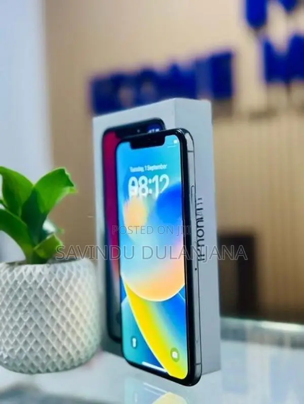 Apple iPhone X 256GB (Used)