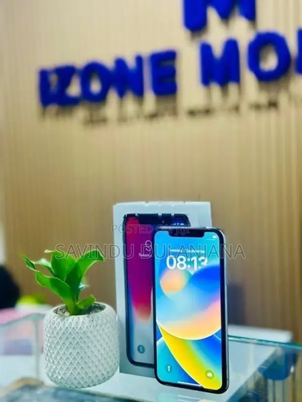 Apple iPhone X 256GB (Used)