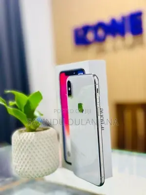Apple iPhone X 256GB (Used)