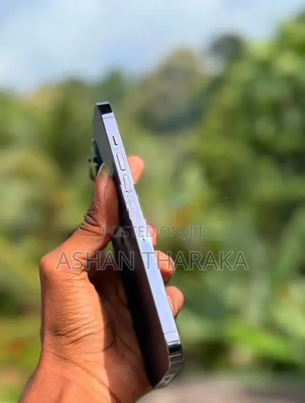 Apple iPhone 14 Pro (Used)