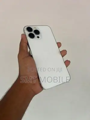 Apple iPhone 13 Pro Max (Used)
