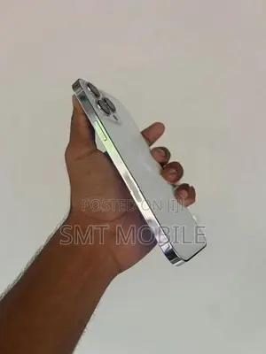 Apple iPhone 13 Pro Max (Used)