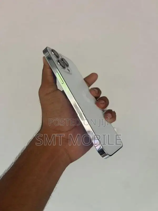 Apple iPhone 13 Pro Max (Used)