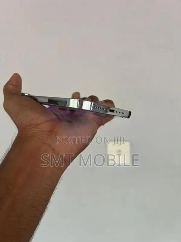 Apple iPhone 13 Pro Max (Used)