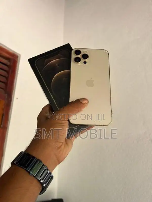 Apple iPhone 12 Pro Max (Used)