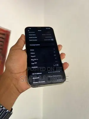 Apple iPhone 12 Pro Max (Used)
