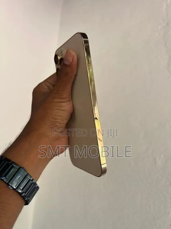 Apple iPhone 12 Pro Max (Used)