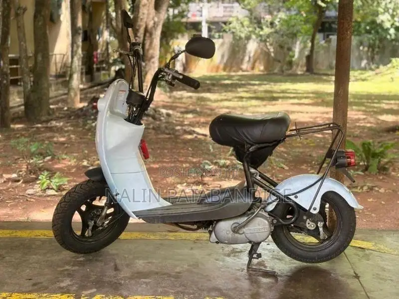 Suzuki Choi Nori 2022