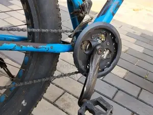 Jaguar Bicycle
