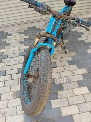 Jaguar Bicycle
