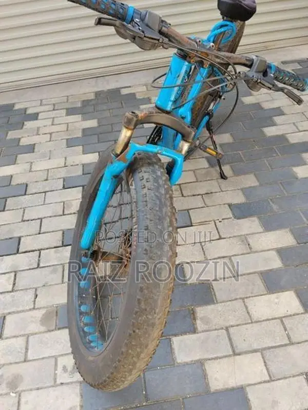 Jaguar Bicycle