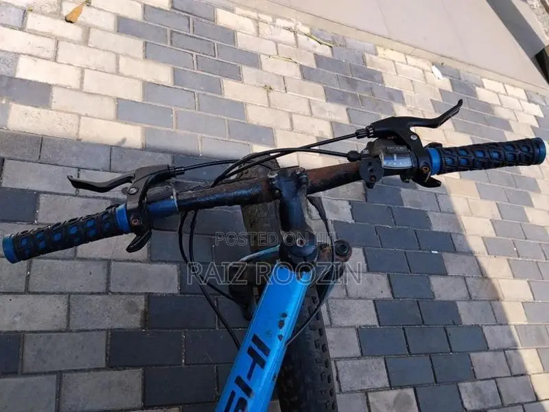 Jaguar Bicycle