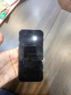 Apple iPhone 15 Pro Max (Used)