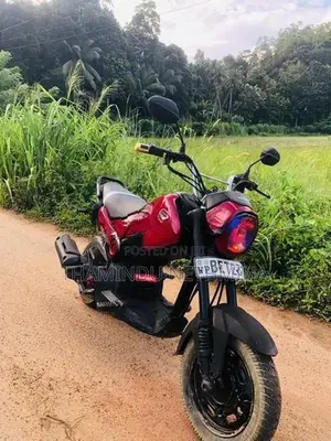 Honda Navi 2017