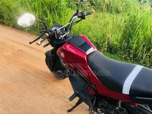 Honda Navi 2017