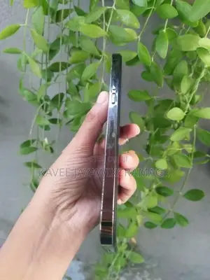 Apple iPhone 12 Pro Max (Used)