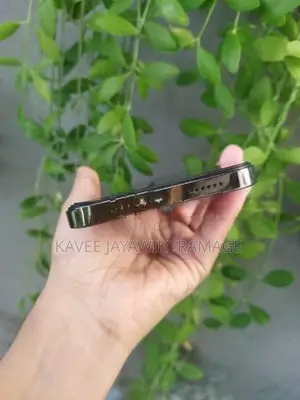 Apple iPhone 12 Pro Max (Used)