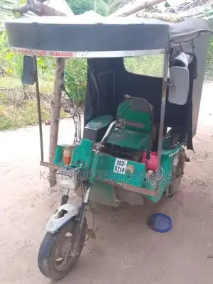 Three Wheeler 2005