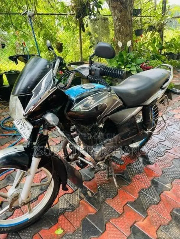 Bajaj Platina 100 2010