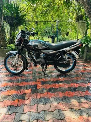 Bajaj Platina 100 2010