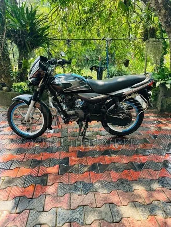 Bajaj Platina 100 2010