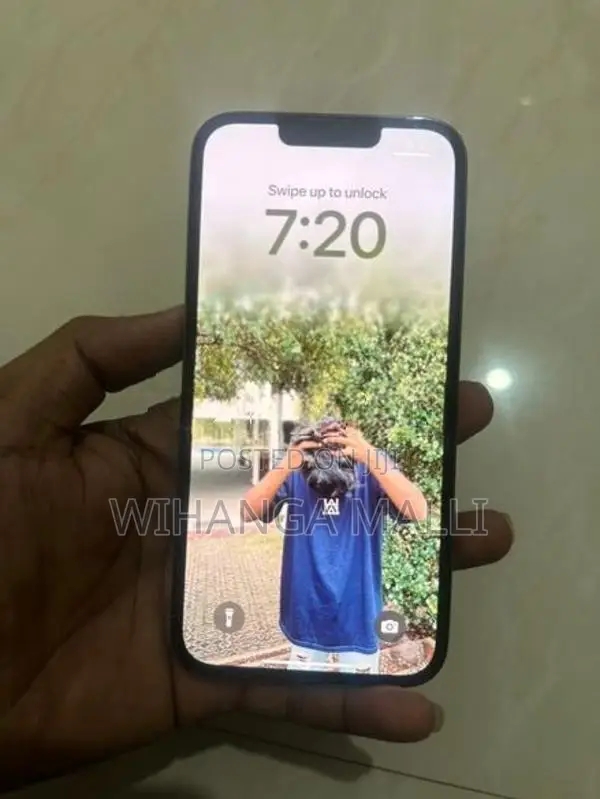 Apple iPhone 13 Pro (Used)