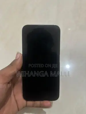 Apple iPhone 13 Pro (Used)
