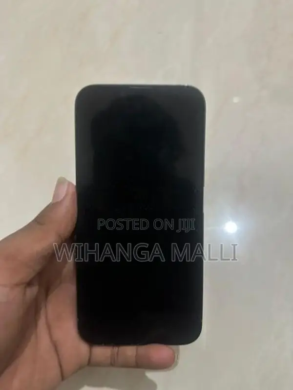 Apple iPhone 13 Pro (Used)