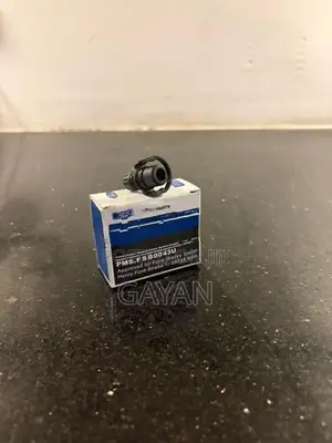 Ford Ecosport Fiesta Coolant Bleeder Vale