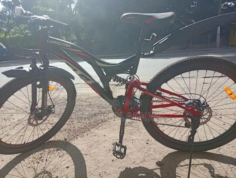 Lumstar 26" Multi-Speed Bicycle