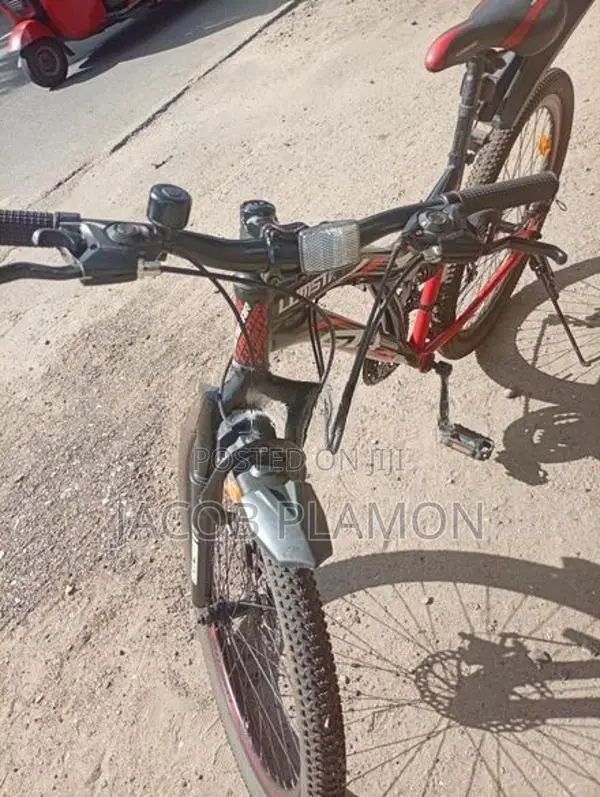 Lumstar 26" Multi-Speed Bicycle