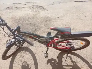 Lumstar 26" Multi-Speed Bicycle