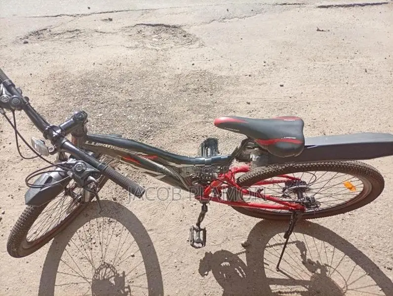 Lumstar 26" Multi-Speed Bicycle