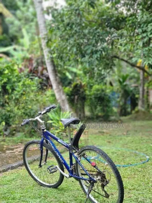 Bicycle