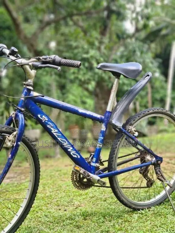 Bicycle