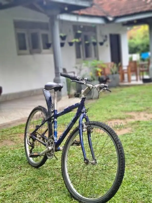 Bicycle