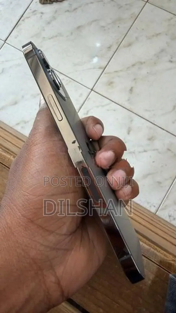 Apple iPhone 12 Pro Max (Used)