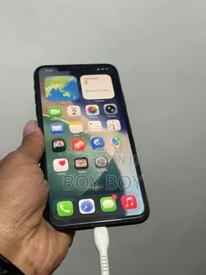 Apple iPhone 11 Pro Max 256GB (Used)