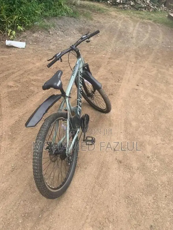 Everstar Mtb Bicycle