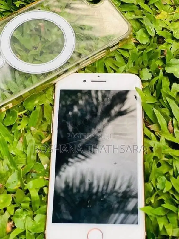Apple iPhone 8 (Used)