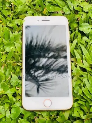 Apple iPhone 8 (Used)